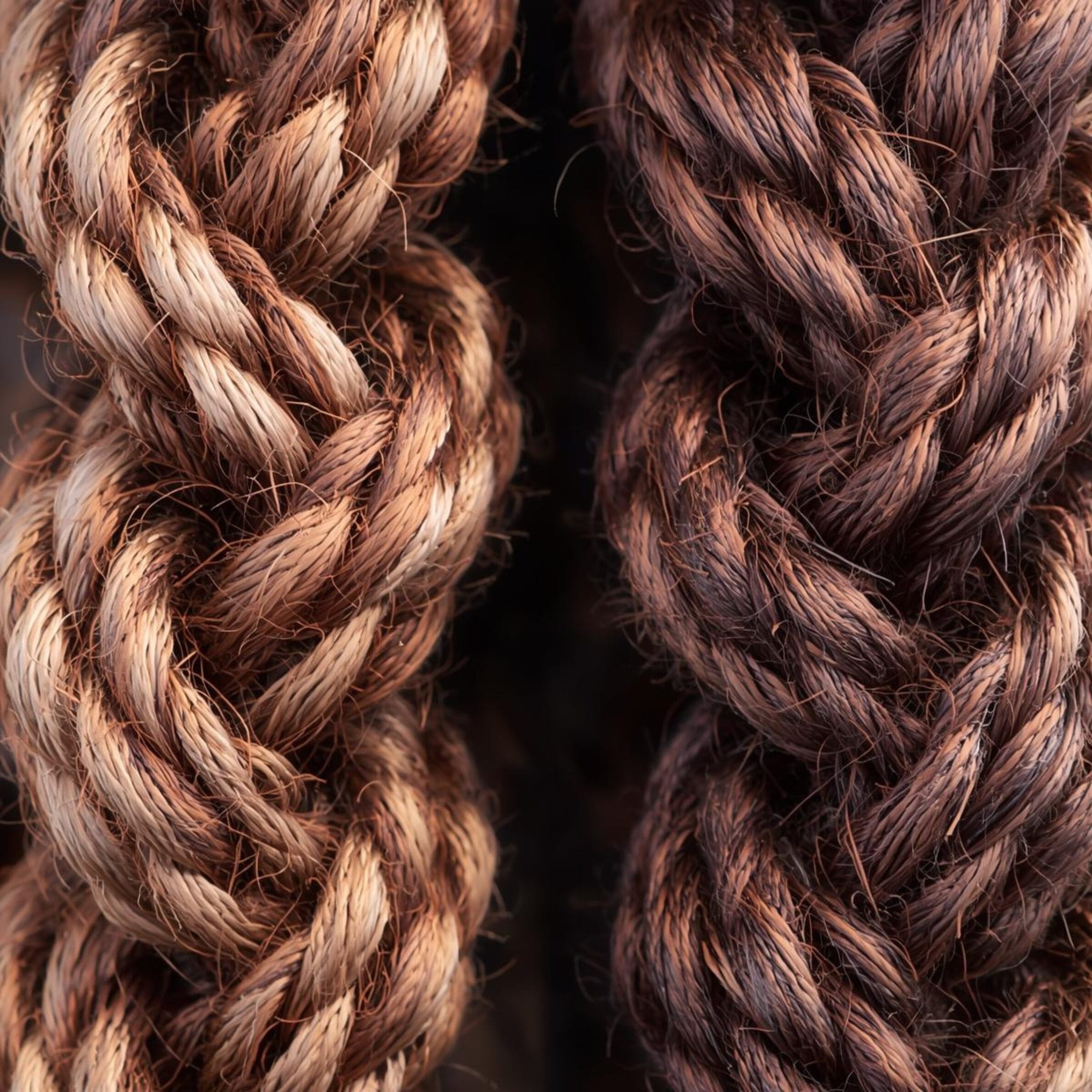 Mystical landscape, glowing forest, or fantasy castle Fantasy world-building for romance novels